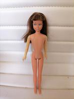 Vintage barbie poppen skipper, Verzamelen, Ophalen of Verzenden, Gebruikt, Fashion Doll