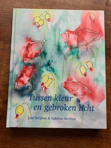 J. Strijbos - Tussen kleur en gebroken licht beschikbaar voor biedingen