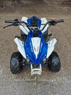 Opknapper Quad - Voor de Handige Harry!, Ophalen
