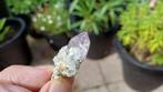 RB565 Amethyst Mine de Vera Cruz Las Vigas de Ramirez Mexico, Ophalen of Verzenden, Mineraal