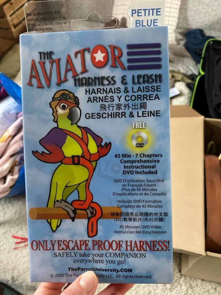 Vogel tuigje, Mannelijk