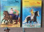 Gertrud Jetten - Een schat van een pony, het verdwenen paard, Ophalen of Verzenden, Zo goed als nieuw, Gertrud Jetten