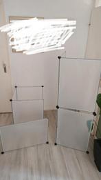 Kitten ren (variabel) 8x 70x50, Ophalen of Verzenden