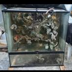 Paludarium terrarium exotera 90x45x90 +led + etc.., Dieren en Toebehoren, Reptielen en Amfibieën | Toebehoren, Ophalen, Zo goed als nieuw