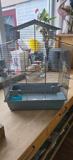 Vogelkooi, Dieren en Toebehoren, Vogels | Hokken en Kooien, Ophalen, Metaal, Vogelkooi
