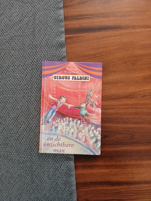 Reina ten Bruggenkate - Circus Faldini en de onzichtbare man, Boeken, Kinderboeken | Jeugd | onder 10 jaar, Ophalen of Verzenden