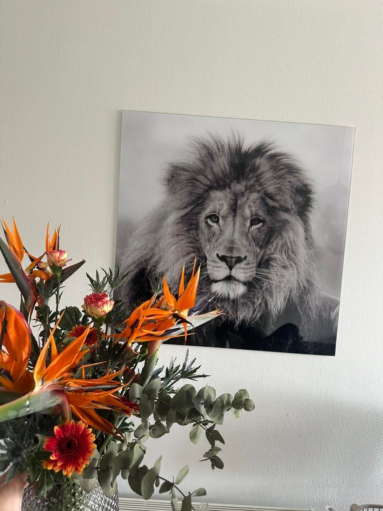 Wanddecoratie leeuw, Ophalen