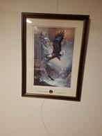 Franklin Mint ,Ted Blaylock "Save the Eagle, Preserve the Tr, Ophalen of Verzenden, Zo goed als nieuw