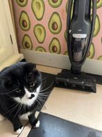 AEG QX8 Animal Steelstofzuiger + kruimeldief, Ophalen, Stofzuiger, Zo goed als nieuw, Minder dan 1200 watt