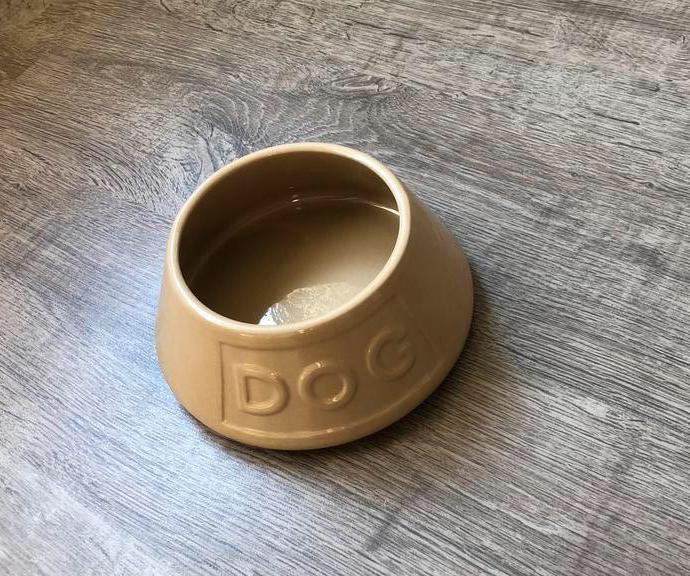 Honden Voer/waterbak Mason Cash (voor lange oren), Ophalen of Verzenden, Nieuw