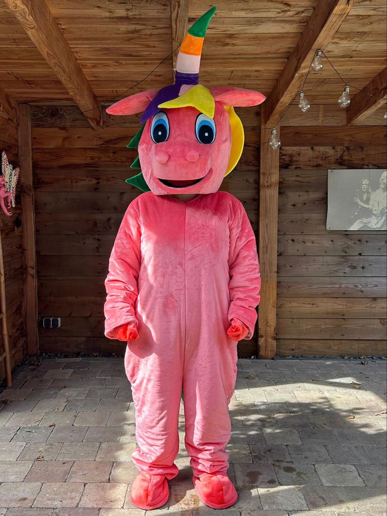 Unicorn of Draak / Dino Kostuum te huur - 30 euro per dag, Ophalen, Gebruikt, Pak of Jurk