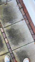 150 Terrastegels 50x50  gratis af te halen, Tuin en Terras, Tegels en Klinkers, Ophalen, Gebruikt, Beton, Terrastegels
