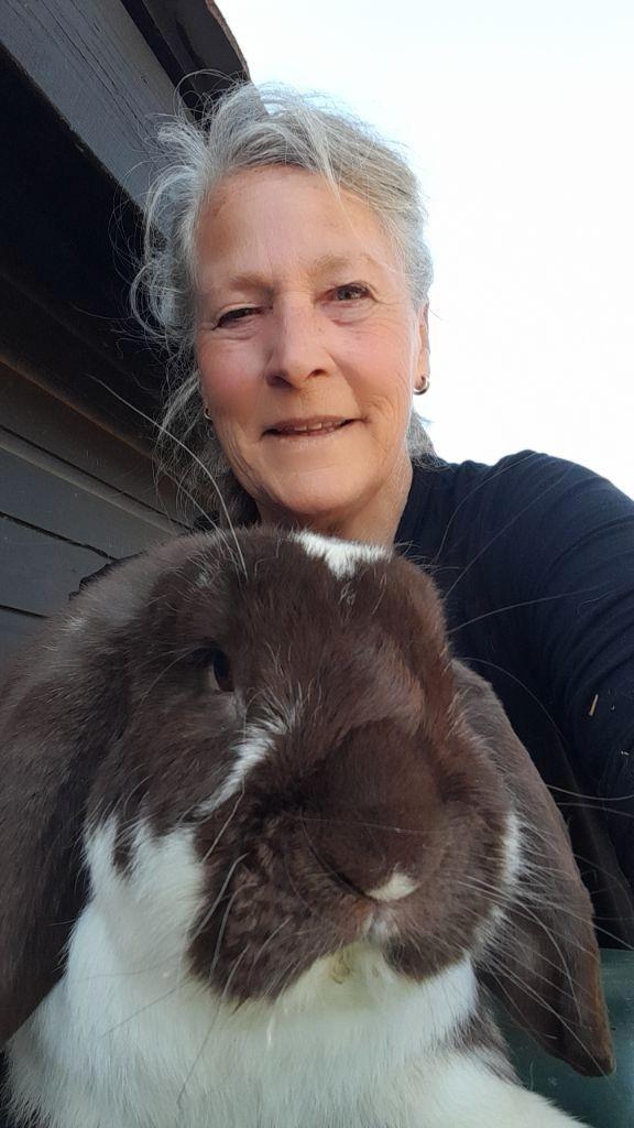 Raszuivere franse hangoren, Dieren en Toebehoren, Konijnen, Groot, Meerdere dieren