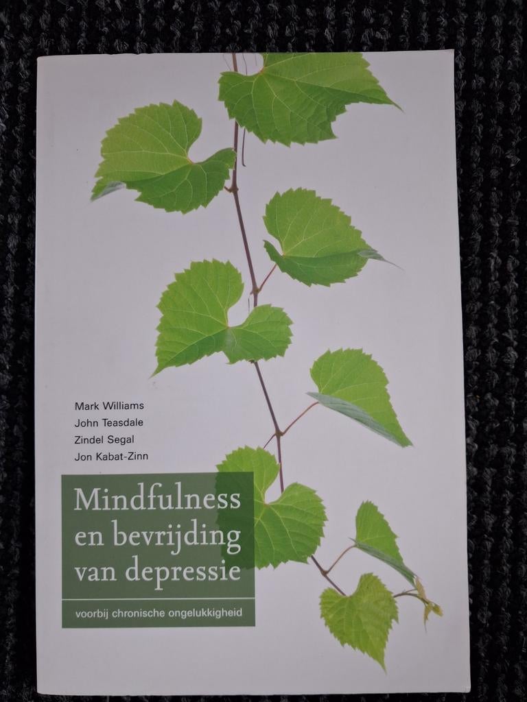 Mark Williams - Mindfulness en bevrijding van depressie, Ophalen, Zo goed als nieuw, Mark Williams