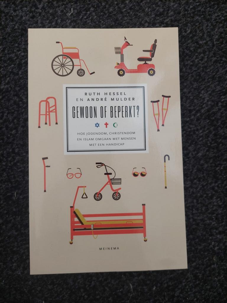 Gewoon of beperkt? Boek over religie en handicap, Ophalen of Verzenden, Zo goed als nieuw, Christendom | Katholiek