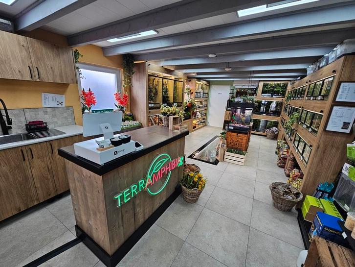 Showroom Terra-Amphibia ' Alleen op afspraak ' ‼️, Dieren en Toebehoren, Reptielen en Amfibieën, Hagedis, 0 tot 2 jaar