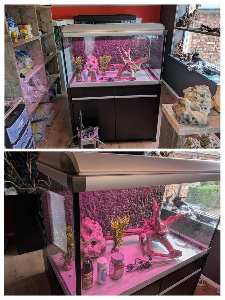 🐠Alvastabil aquarium Mark 2, 250L met kast,led verlichting, Dieren en Toebehoren, Vissen | Aquaria en Toebehoren, Ophalen, Inclusief toebehoren