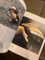 De Wonderlijke Natuur: Tropische Vogels - vogelboek, Ophalen of Verzenden, Gelezen, Vogels