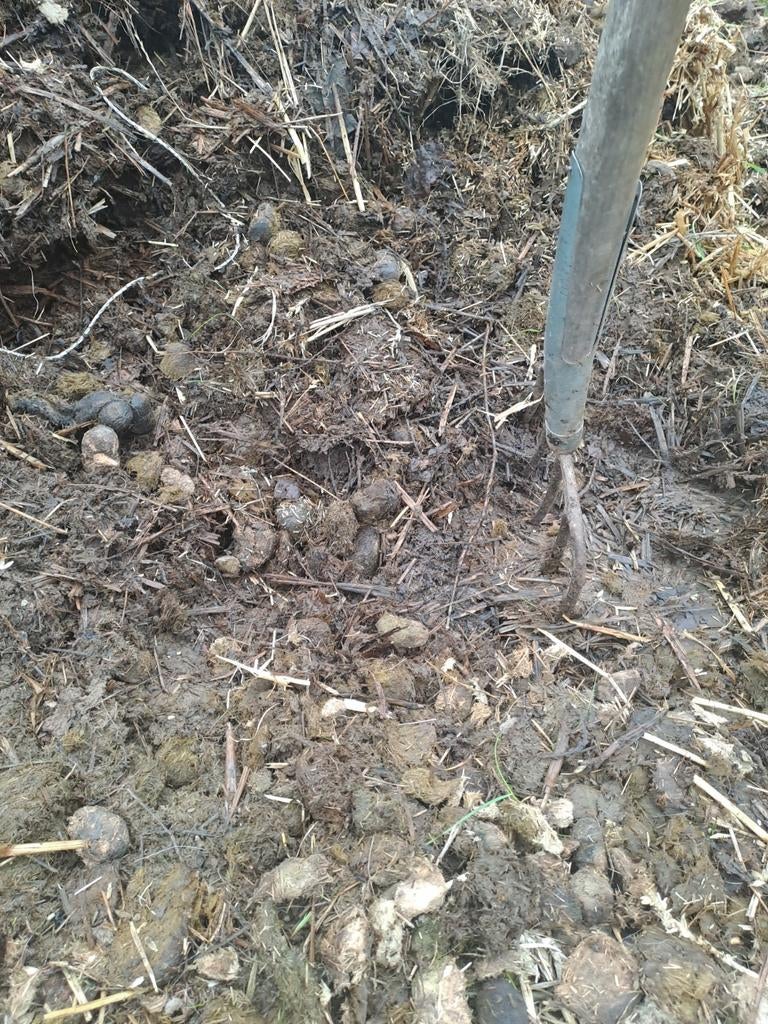 Paardenmest met stro - zelf ophalen, Tuin en Terras, Aarde en Mest, Ophalen of Verzenden, Mest