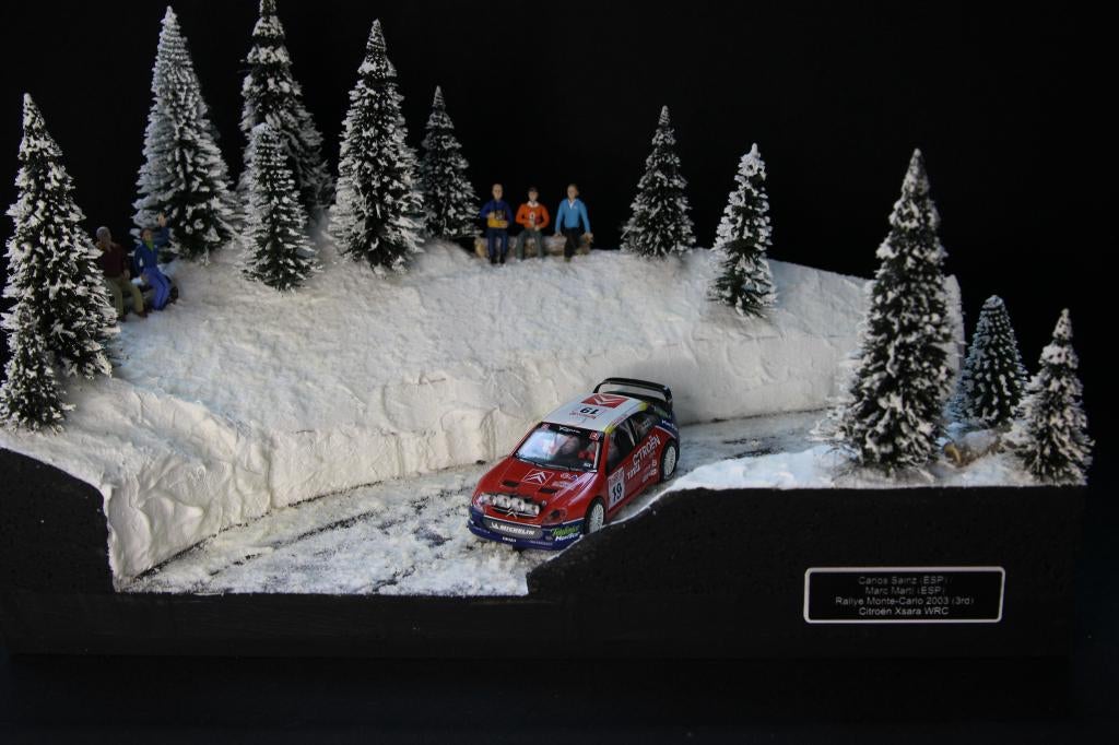 Diorama Rallye Monte-Carlo 2003 met SCX Citroën Xsara WRC 19, Info@bennie-gs.nl, Bennie G's, 7241MB, Groter dan 1:35