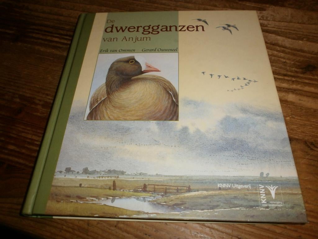 de dwergganzen van anjum erik van ommen mooi boek, Boeken, Ophalen of Verzenden, Nieuw