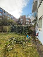 klimop vereijden, Tuin en Terras, Ophalen of Verzenden, Gebruikt, Hout, Tuinhek