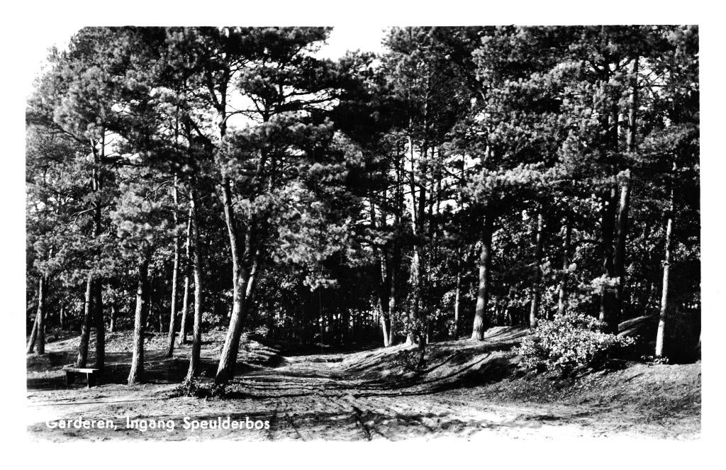 939484 Garderen Gld 1948 Speulderbos boom Gelopen, Ophalen of Verzenden, 1940 tot 1960, Gelopen, Gelderland
