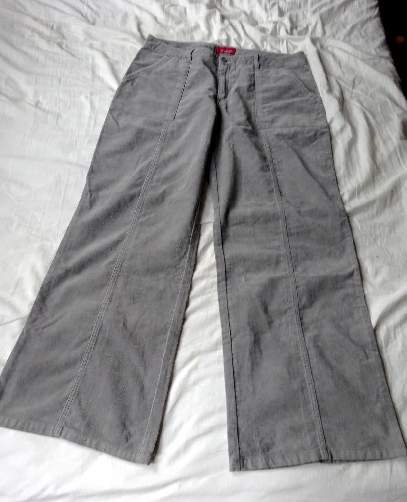 Grijs fluwelige Reject broek maat 46, Kleding | Dames, Broeken en Pantalons, Verzenden, Gedragen, Maat 46/48 (XL) of groter, Reject