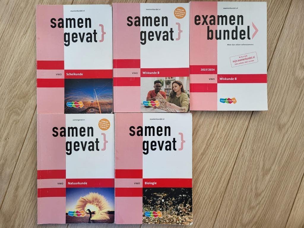 Examenbundel en samengevat VWO, Boeken, Schoolboeken, Ophalen of Verzenden, Zo goed als nieuw, VWO