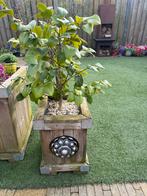 Bloemenbak met zeeuwse knop!, Ophalen of Verzenden, Nieuw, Hout