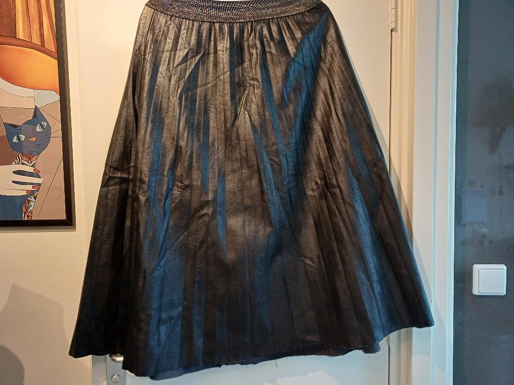 zwart nepleer rok mt L, Kleding | Dames, Rokken, Maat 38/40 (M), Zwart, Ophalen of Verzenden, Gedragen