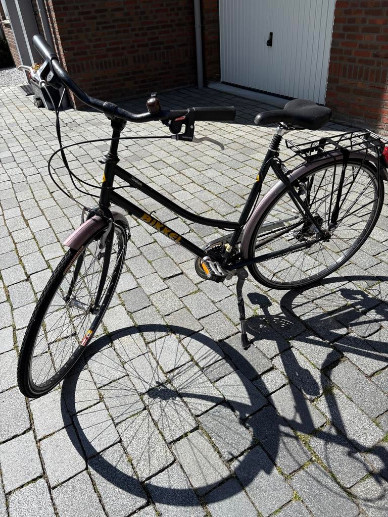 Damesfiets Batavus Bikkel, Fietsen en Brommers, Fietsen | Dames | Damesfietsen, Ophalen, Velgrem, Versnellingen, Batavus