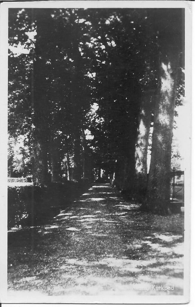 Arum Kerkpad., Verzamelen, Ophalen of Verzenden, 1940 tot 1960, Ongelopen, Friesland
