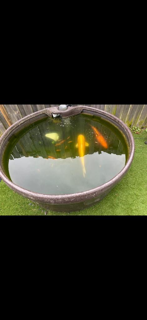 Vijverbak, Ophalen, Zo goed als nieuw