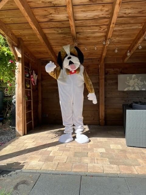 Diverse dierenkostuums mascotte pakken vanaf 15 tot 30 euro, Hobby en Vrije tijd, Feestartikelen | Verhuur, Ophalen of Verzenden