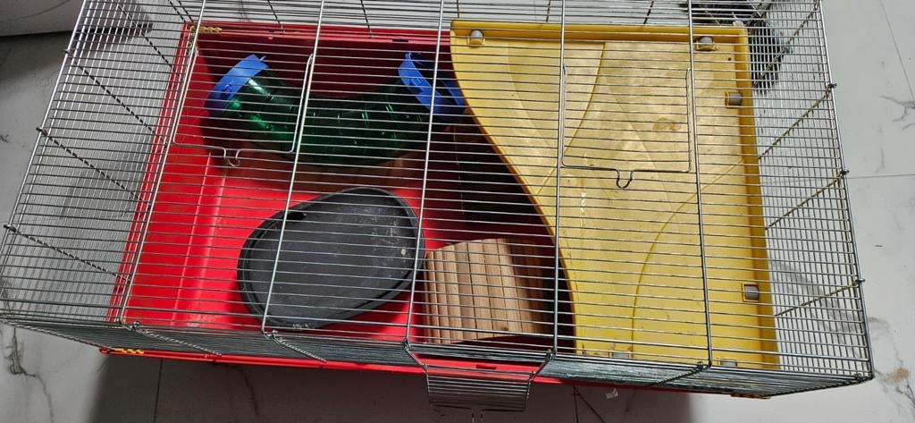 Hamster/Rat kooi met toebehoren, Kooi, Zo goed als nieuw, Chinchilla, 75 tot 110 cm