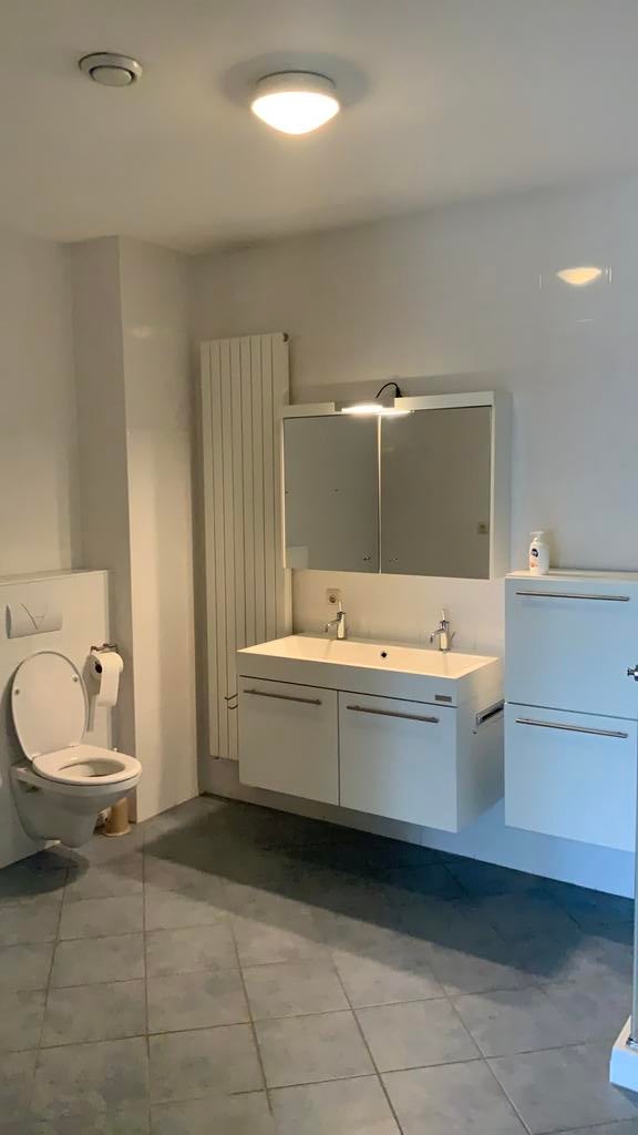 Wandradiator, Doe-het-zelf en Verbouw, Ophalen, Gebruikt