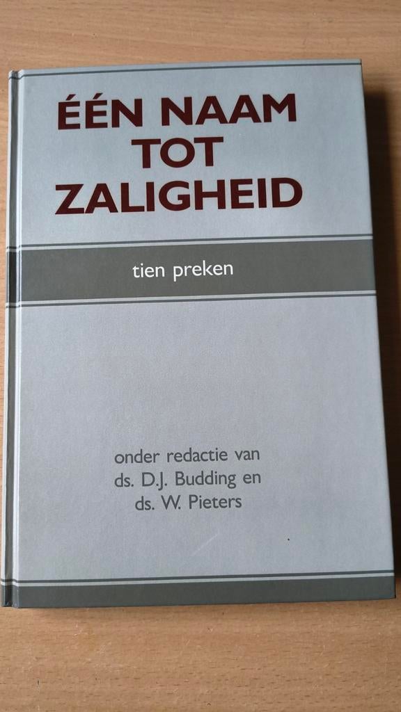 Een naam tot zaligheid. Ds DJ Budding/Ds W Pieters, Christendom | Protestants, Ophalen of Verzenden, Zo goed als nieuw, Ds DJ Budding / Ds W Pieters