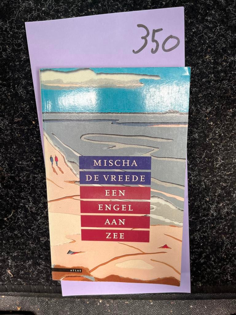 Mischa de Vreede - Een Engel aan Zee (Boek), Boeken, Ophalen of Verzenden, Zo goed als nieuw, Nederland