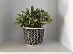 Kunstplant in aardewerk pot, Ophalen of Verzenden, Zo goed als nieuw