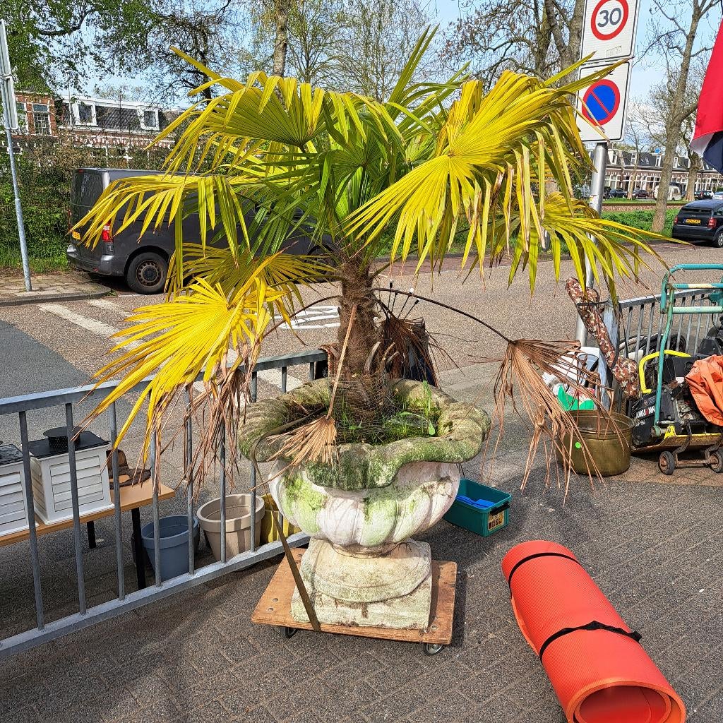 Grote bloempot voor buiten, Tuin en Terras, Bloempotten, Ophalen, Overige materialen, Gebruikt, 40 cm of meer