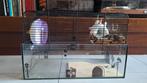 Hamster /muizen/gerbil verblijf. Glas met tralies, Dieren en Toebehoren, Knaagdieren en Konijnen | Hokken en Kooien, Minder dan 75 cm