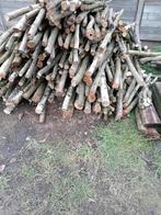 Haardhout, Tuin en Terras, Haardhout, 3 tot 6 m³, Ophalen, Eikenhout, Stammen