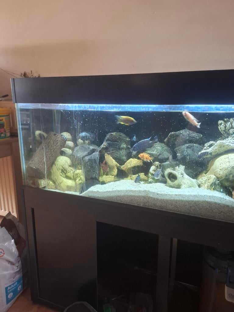Toop mooie aqarium, Dieren en Toebehoren, Vissen | Aquaria en Toebehoren, Ophalen of Verzenden