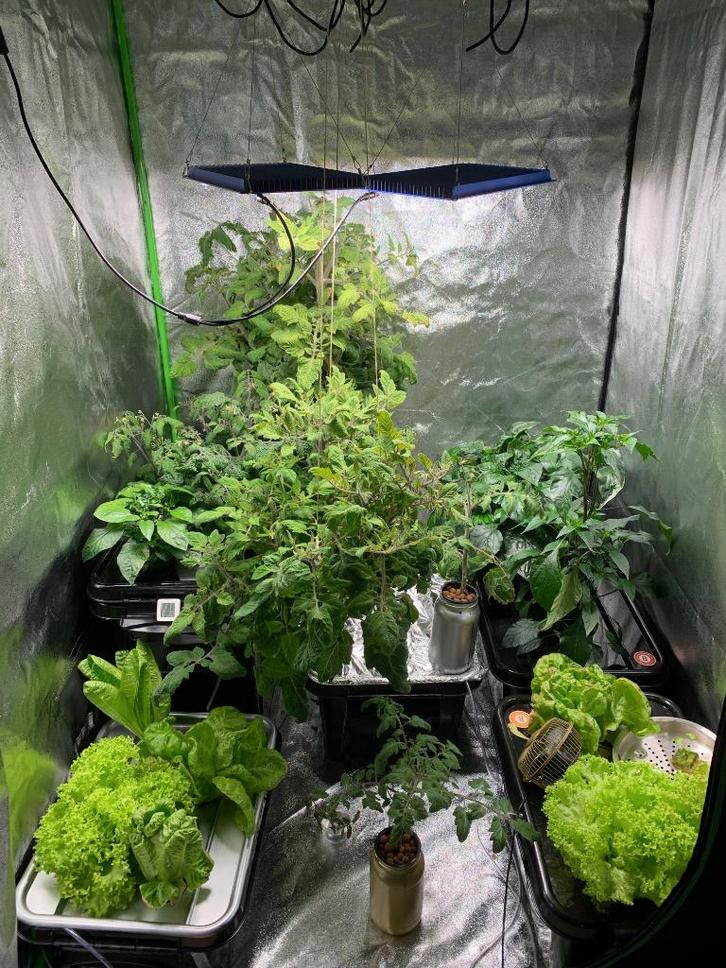 Complete kweektent 150x120cm met 240W multicolor LED lamp, Tuin en Terras, Kweekspullen, Gebruikt, Kweektent, Ophalen