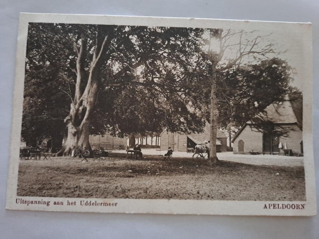 Apeldoorn,  uitspanning  aan het Uddelermeer, Ophalen of Verzenden, Gelderland