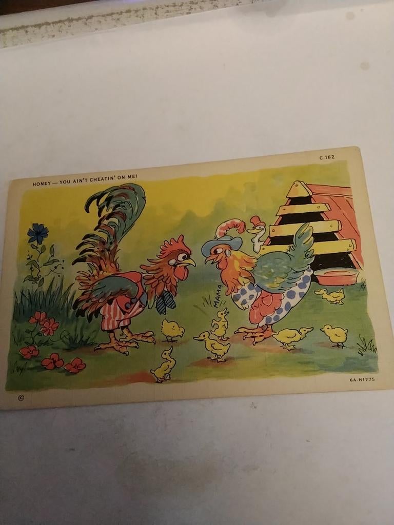 KIPPEN. EN KUIKENS, Ophalen of Verzenden, Overige thema's