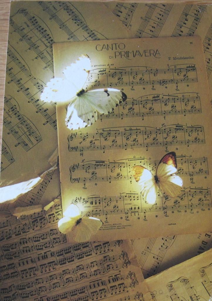 Letizia Volpi - New Music - 1985 - nieuw, Verzenden, 1980 tot heden, Ongelopen, Overige thema's