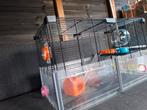 Ferplast Multipla Hamsterkooi – goede staat, Kooi, Minder dan 75 cm, Muis, Ophalen