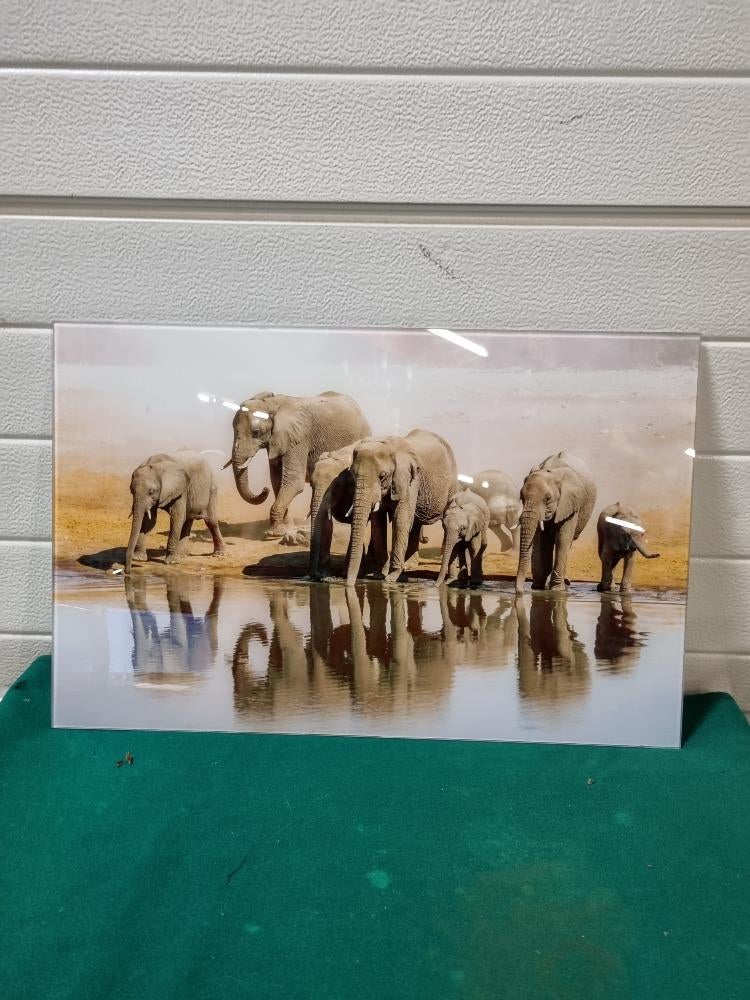 schilderij glas olifanten afbeelding, Ophalen of Verzenden, 'T Olde Gre-j, Info@toldegrej.nl, Endepoelstraat 20f Didam